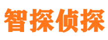 孝感外遇调查取证